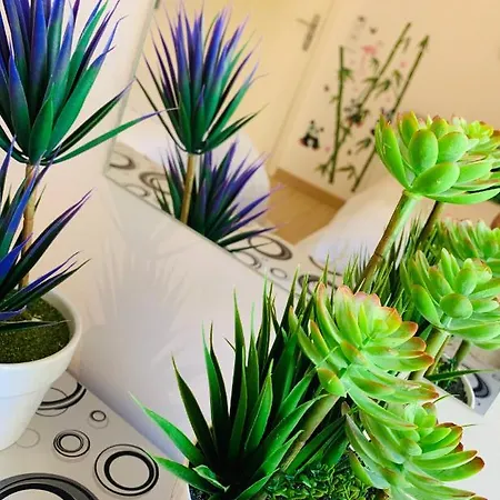 Cosy Modern House - Center - Old Town Willa Albufeira