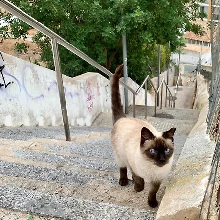 Cosy Modern House - Center - Old Town فيلة البوفيرا