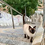 Cosy Modern House - Center - Old Town וילה אלבופיירה